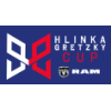 Hlinka-Gretzky Cup